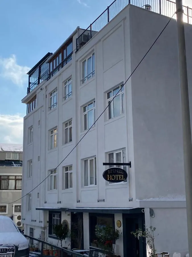 Spinel Hotel - Old City Стамбул