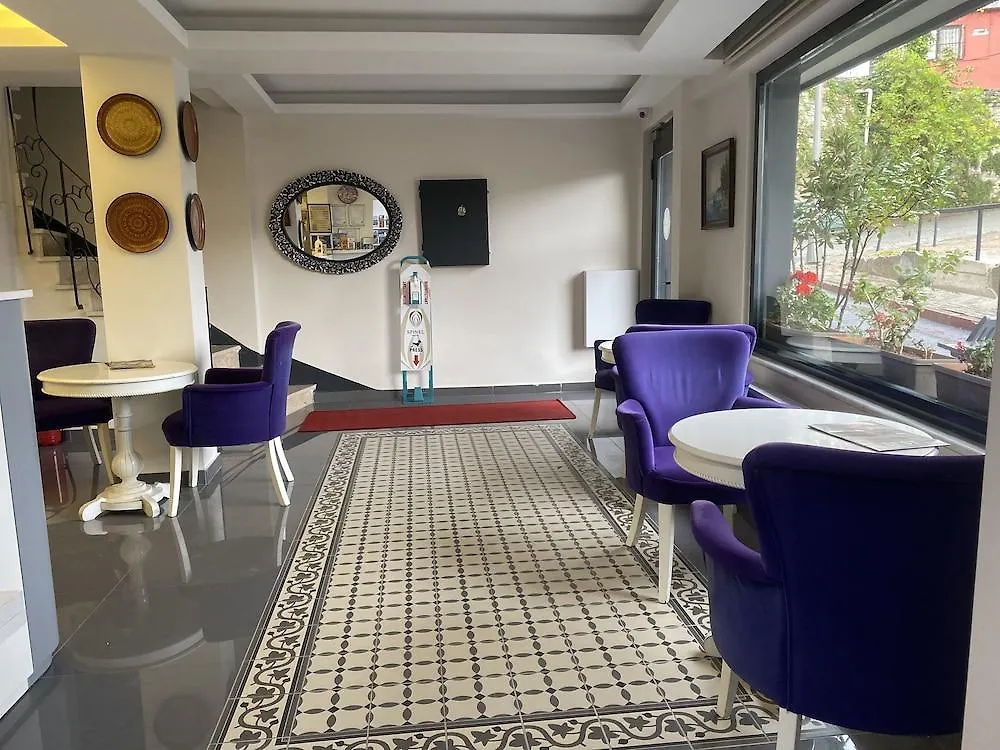 Spinel Hotel - Old City Стамбул