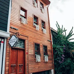Gulliver Mansion Provincia di Istanbul