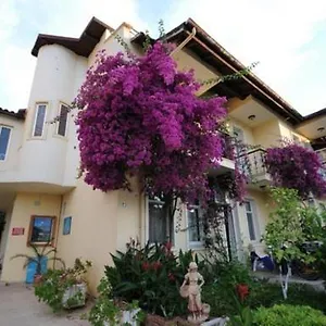 Apartment Caretta